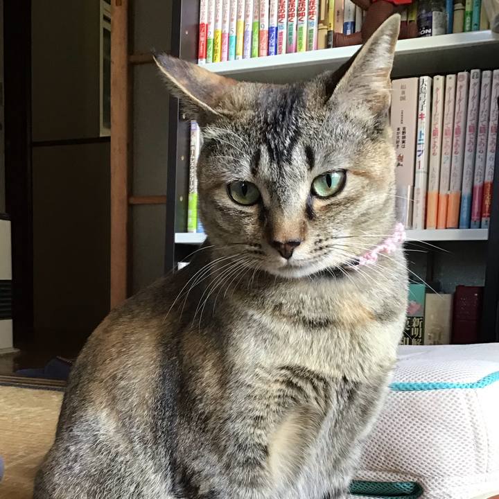 Fc0e0bb8 cb1f 46e7 a826 22a42c6fb7bf 1590197839197