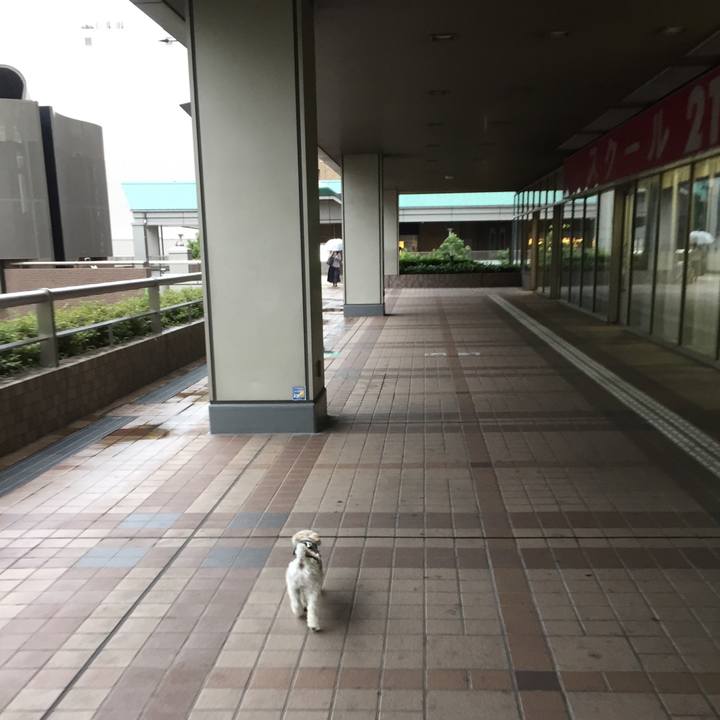 Fc0e63e6 948c 487b 8c06 e138c1be8957 1508057288095