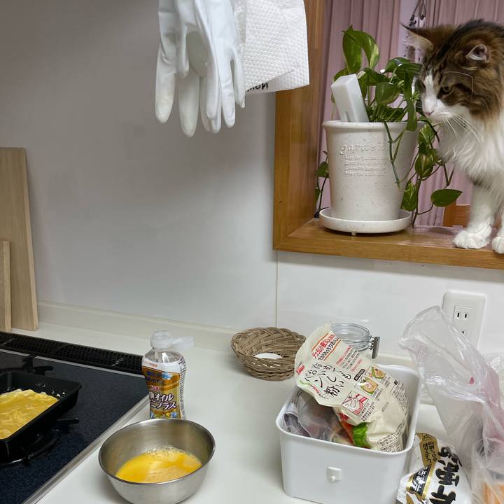 Fc0e70a4 5bae 413a ab29 716ac89ed424 1646214462557