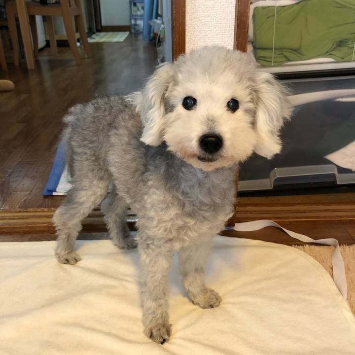 Fc0e78e0 1f37 4dda ab98 d1f0249418cb 1636165167418