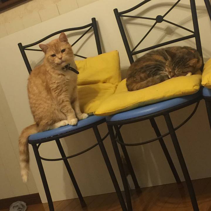 Fc0eaacd 937e 4394 86c2 f906c04eea0a 1556119647665