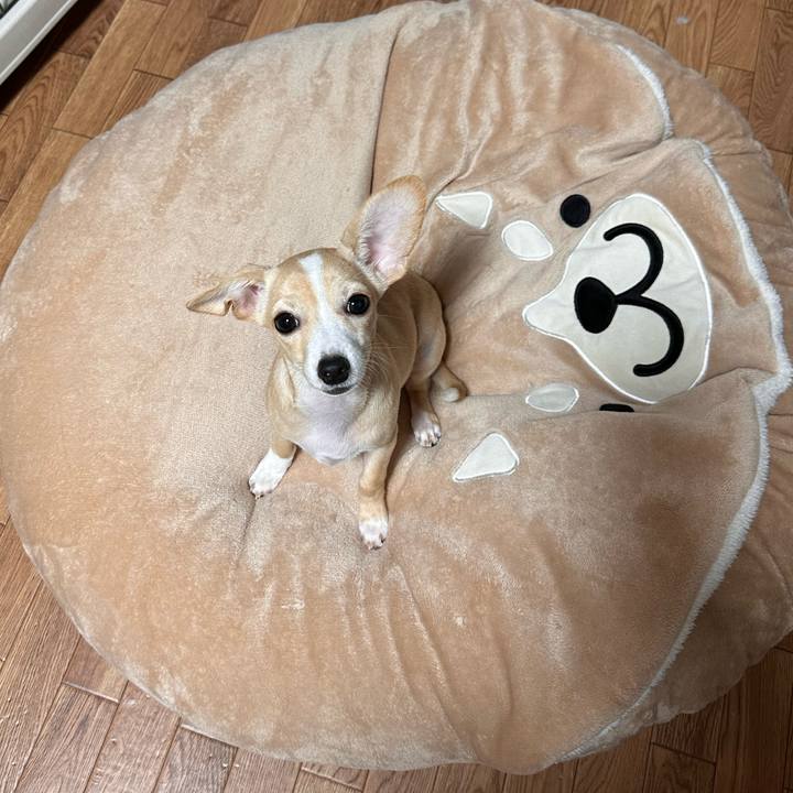 Fc0ed6e2 6887 4a2a b569 caa5b0ae5cdd 1667653709892