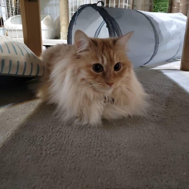 Fc0ef01c 3116 4e33 a929 341f0a5b5f9e 1713737683316