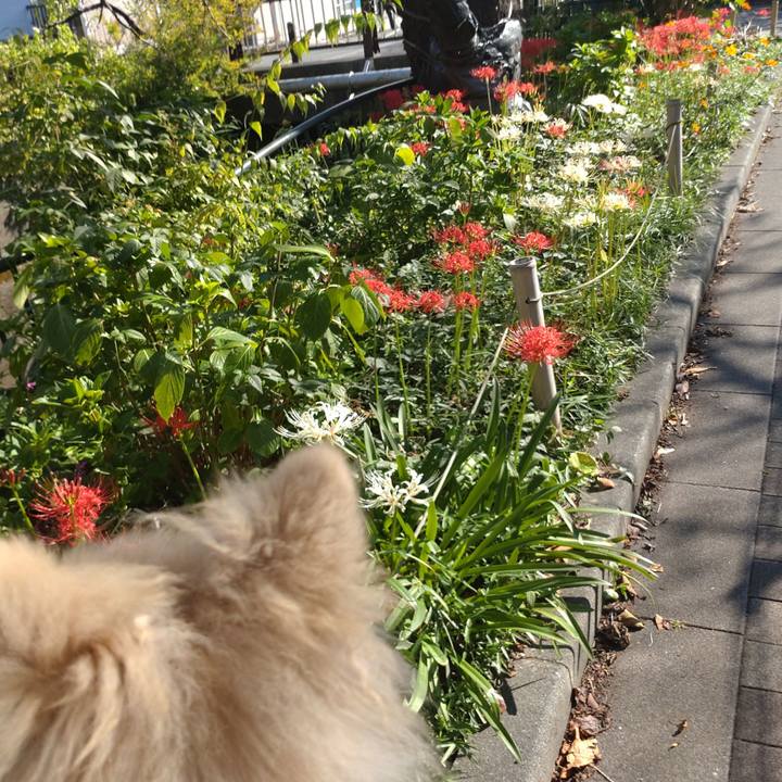 Fc0f1b78 21e1 4e52 99cd c82257bea899 1727826217868