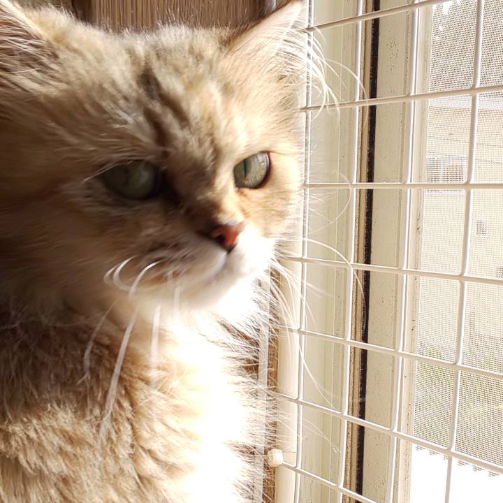 Fc0f2245 1633 4e53 b85f 04fac2c0d73d 1628203860579