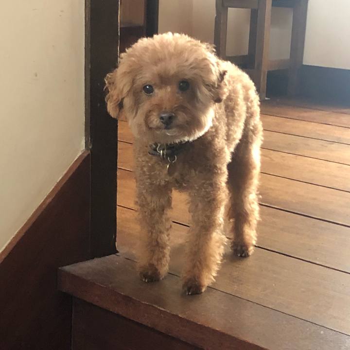 Fc0f2926 3a0b 4e75 a207 51603f7fa9ea 1581165441417