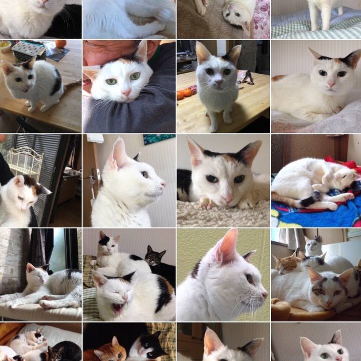 Fc0fa003 6cb9 4297 9b8f 99ba831855ce 1518180469723