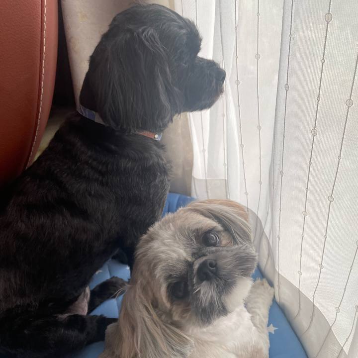 Fc0fc8ec 2871 4f29 9543 1b68b465db17 1694402623840