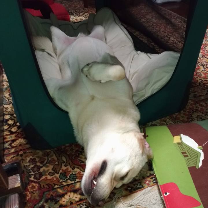 Fc0fcd01 b72b 4dce b9c2 12bd6e1a032c 1566398801470