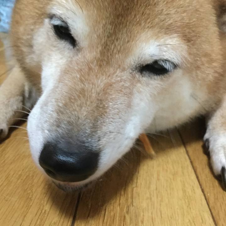 Fc0fe143 919c 465d a641 58a020fc345f 1595725195526