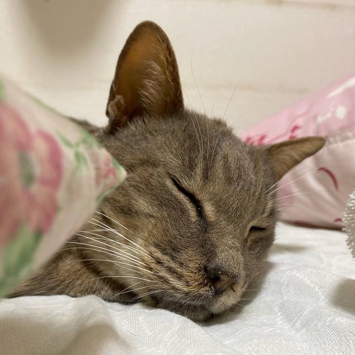 Fc0ff40e ecef 4475 8236 b0d0e051a03a 1656106467437