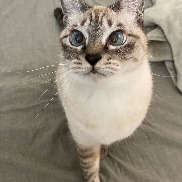 Fc1065dc 29d8 488d a320 878ecc9386e5 1635984819963