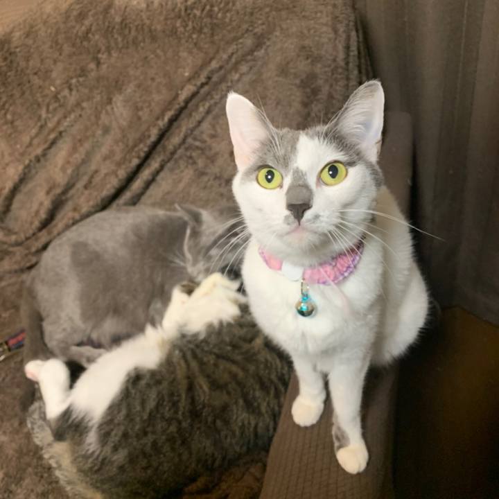 Fc10b7af 0c4d 4c6c 9cf3 4c46c23fef62 1581075294322