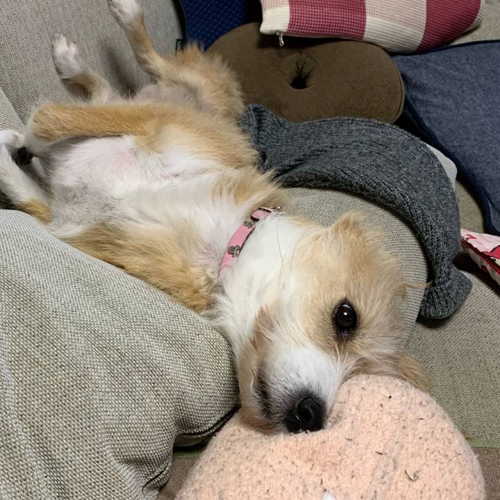 Fc10d2ce be49 45e4 be50 8a6afe88cdc1 1576447489575