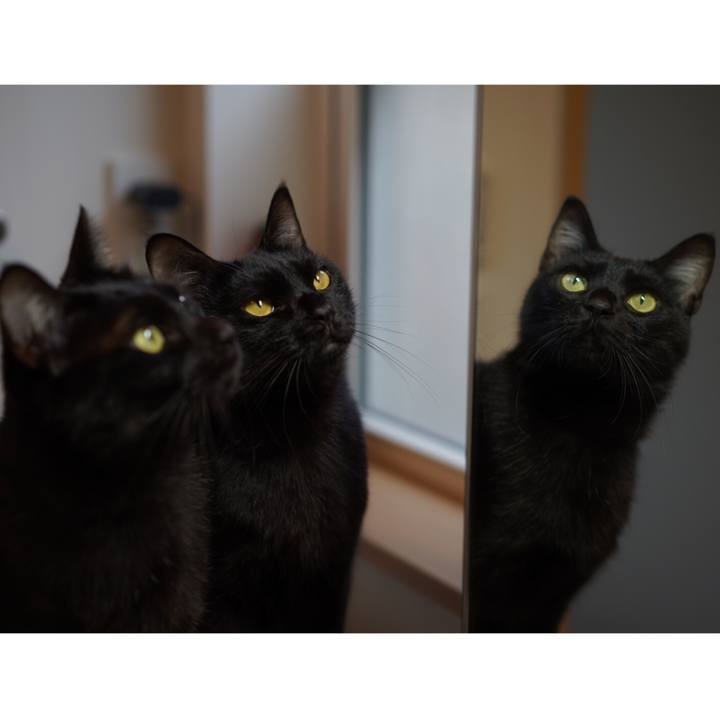 Fc10d6c2 1c45 44cc a7f9 ac6eb73a3ac0 1552951709985