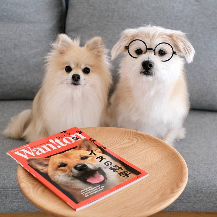 Fc10e346 964f 4122 a1d7 9ad00f4f7da3 1771801147633