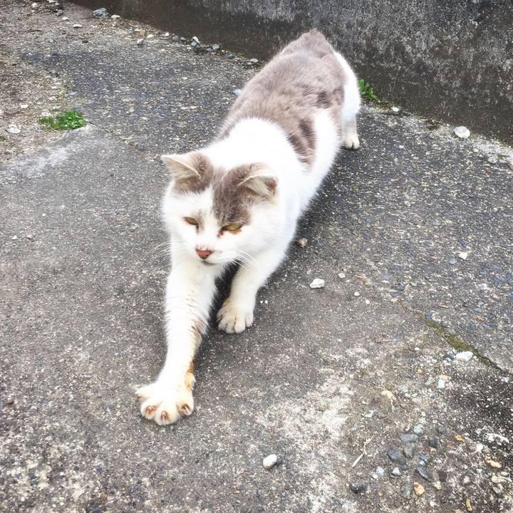 Fc10fa84 ad7d 4ef1 8b01 bccc97158d53 1516891347178