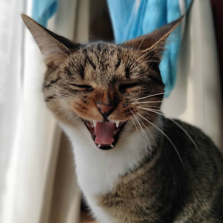 Fc10ff2f 09a5 48eb 892d e22af87df49d 1646615583625