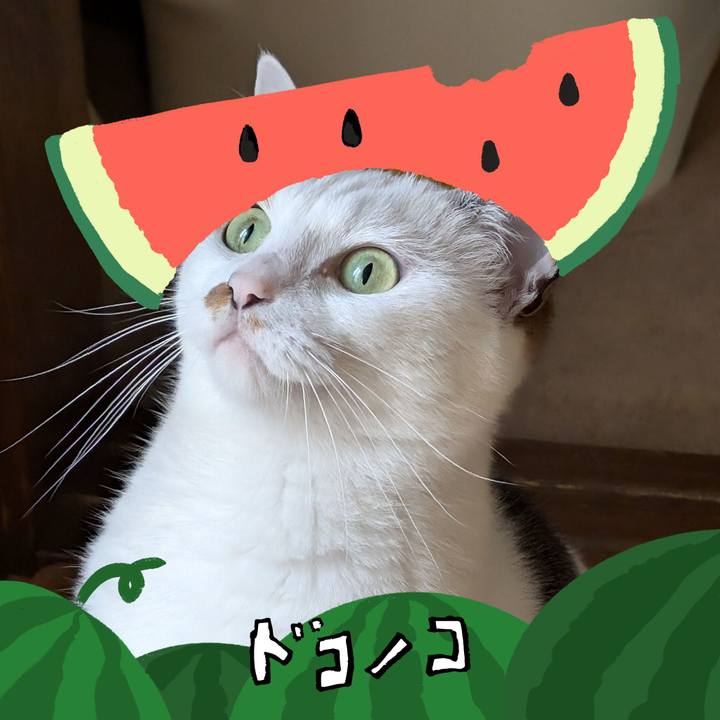 Fc111d17 f5e7 4223 ba0d 0ddece8c26c4 1720786283367