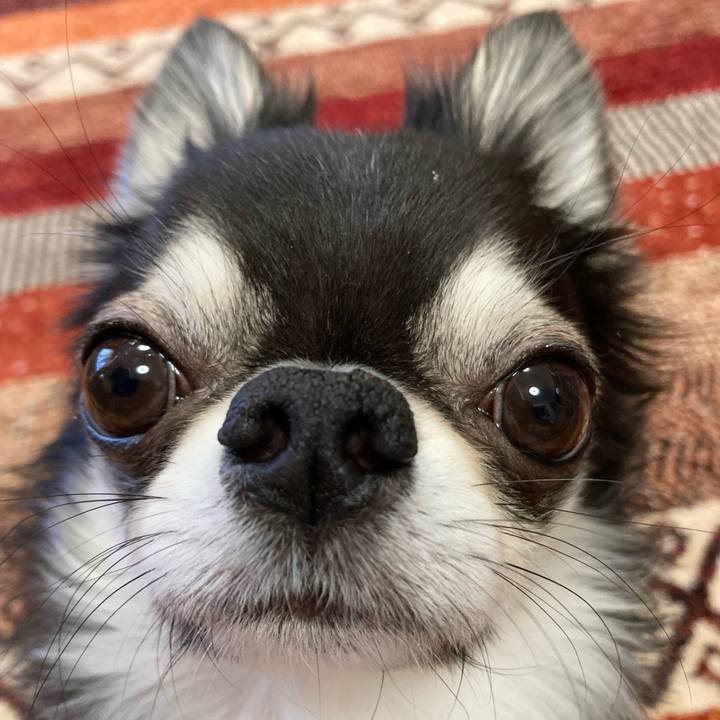 Fc114eea 2f69 4ffc 844a 4c975c74f925 1675466078592