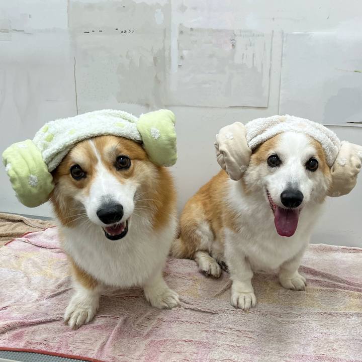 Fc116bea a916 4641 a1e7 dc144c0d1737 1765356665129