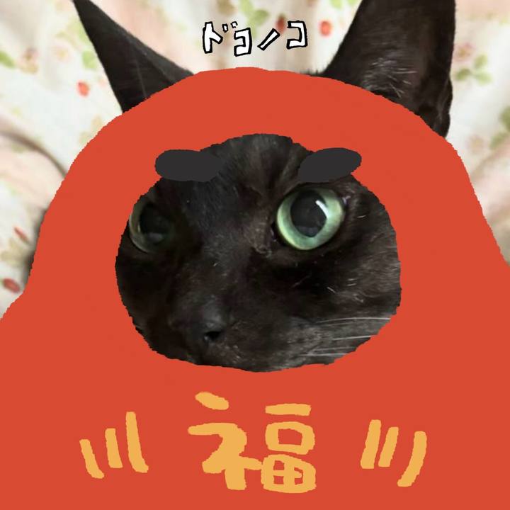 Fc116c12 7e51 4268 ace7 075a3bf53172 1771828604235