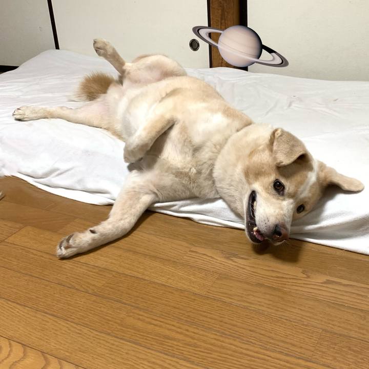 Fc118a7c e4a5 4413 9d66 5ab958c60c48 1599143709217