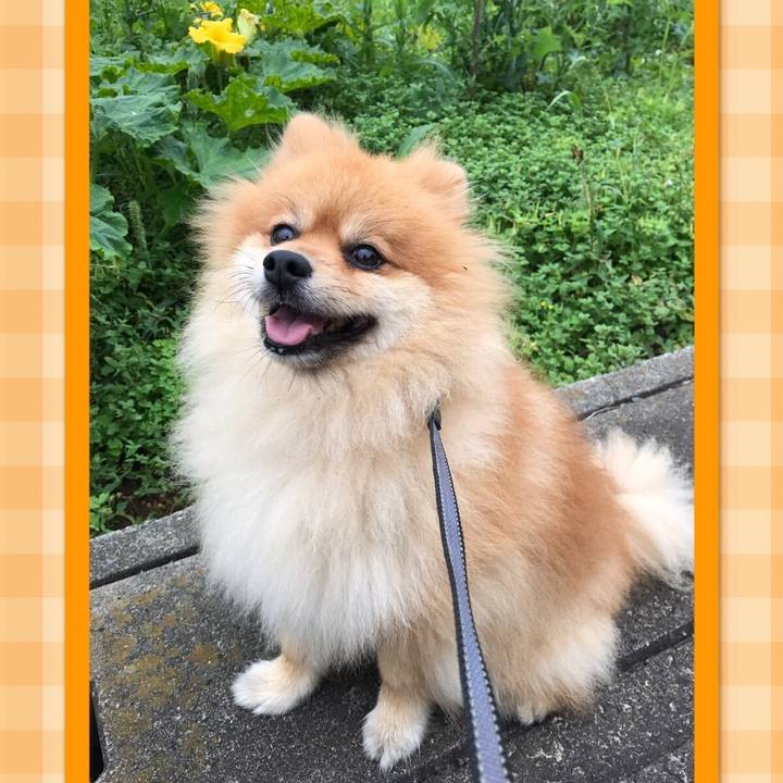 Fc11a9da d26a 42b6 95c6 91f685c0052a 1507686076399