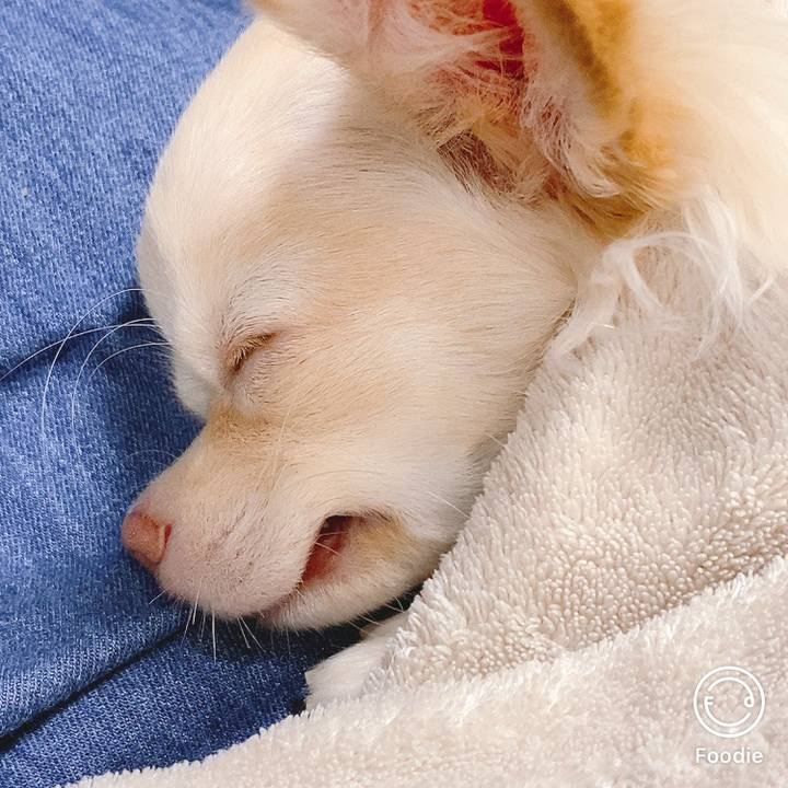 Fc11c2d7 73b2 424a 9696 57454ff4434f 1602308383954