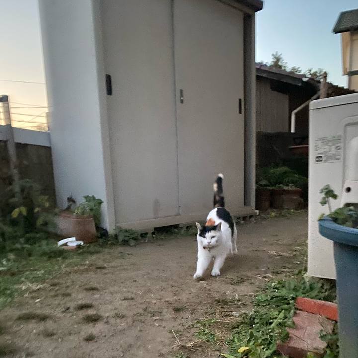 Fc11c814 3346 482f b3b6 62e41d559ca6 1640298557758