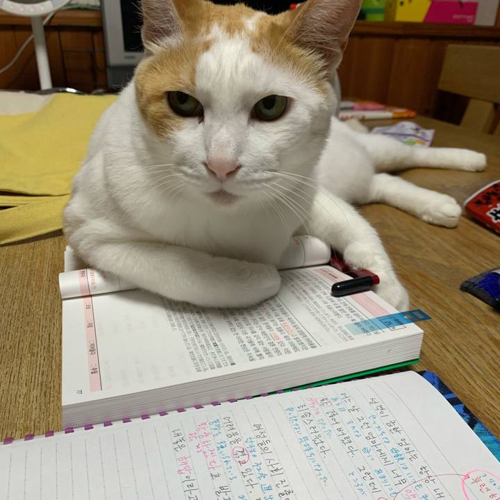 Fc11e50e c654 4f3c 8921 86c909c8103a 1623961349062