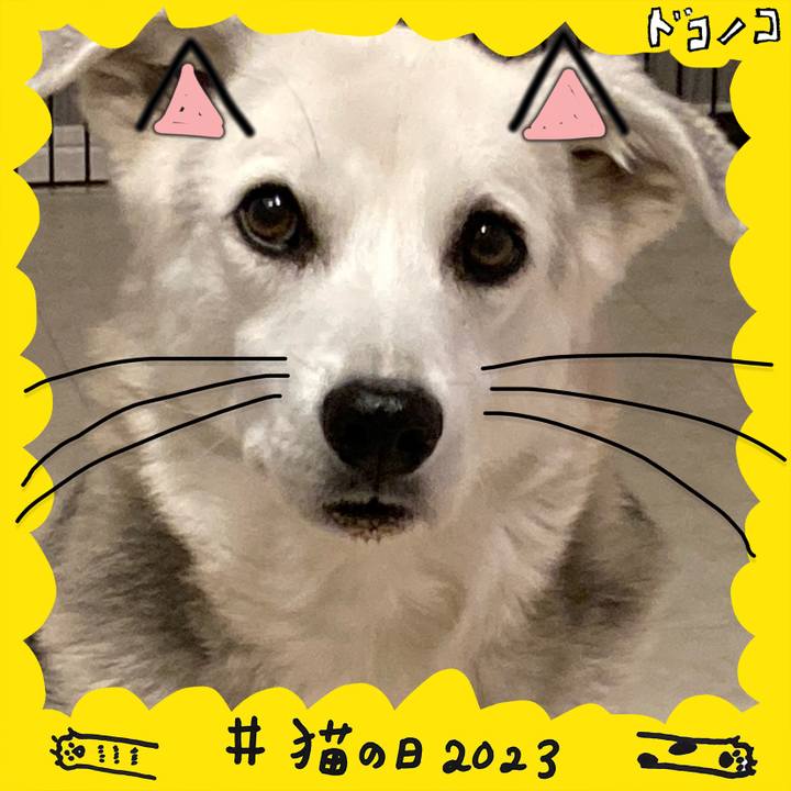 Fc121d13 9fd5 4add 8351 2c831a3effbe 1677027053860