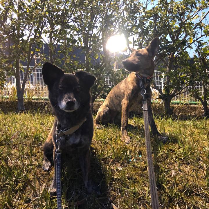 Fc124f30 d9cd 45be 8e01 36da585eeb1e 1585047285958