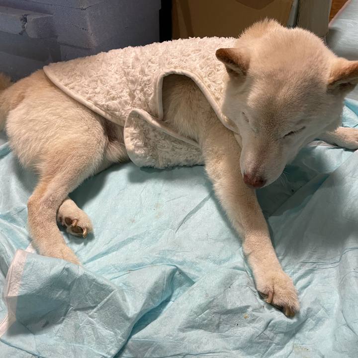 Fc129e46 8a10 41c9 9c39 bbc796c70aff 1637931112432