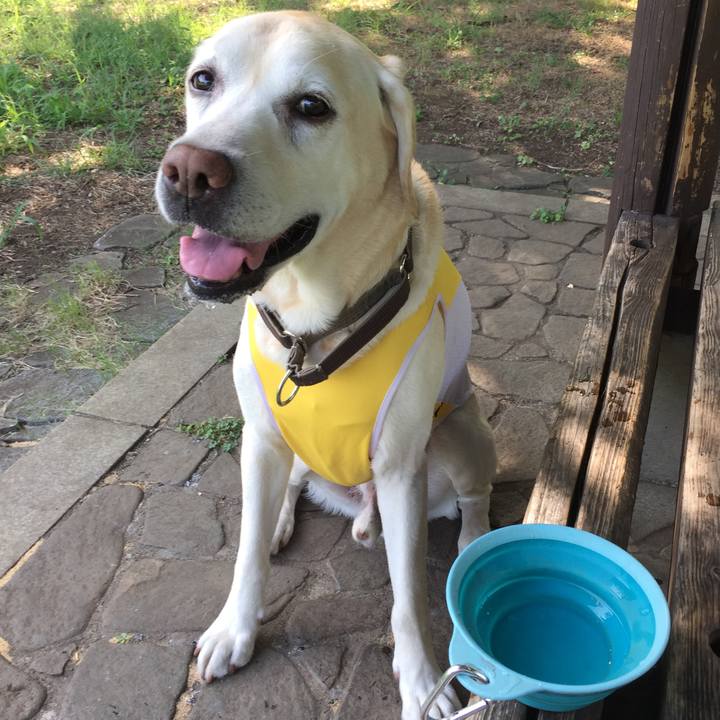 Fc12c358 9f37 46eb b295 b26bb02c944d 1532000140441