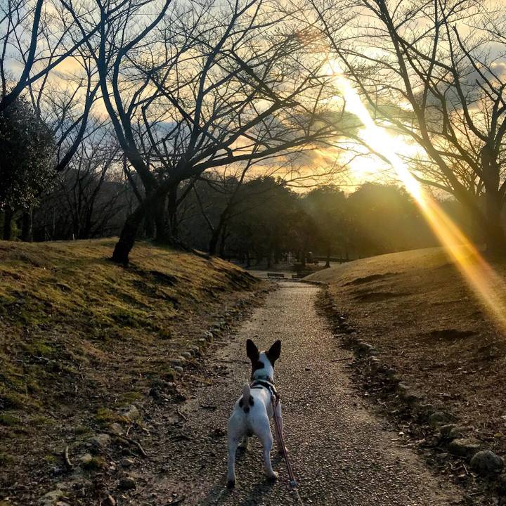 Fc12e06b 26fc 4e08 9c33 f629796c7aca 1520164614692