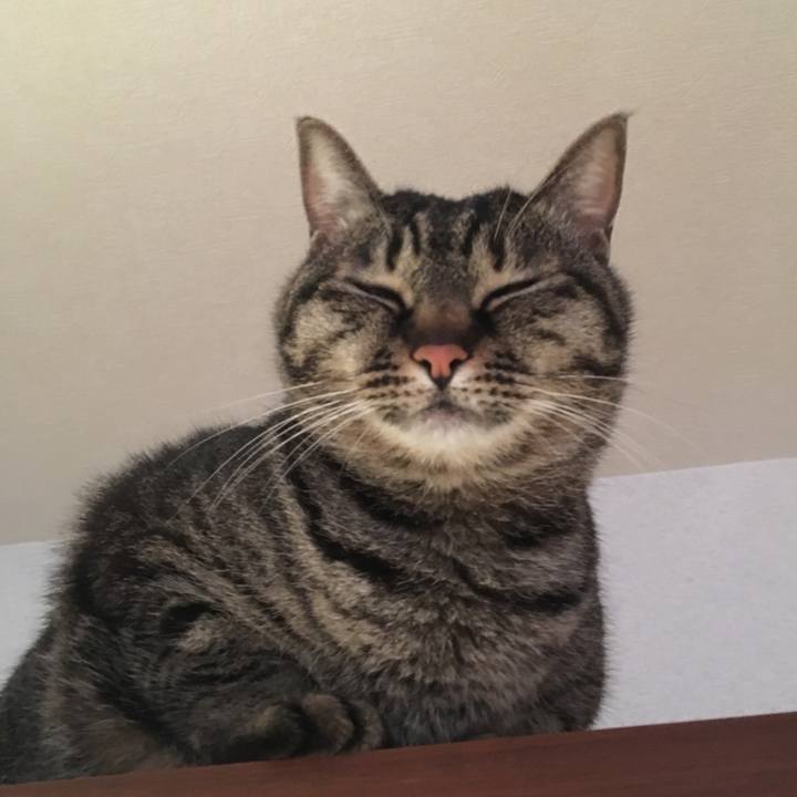 Fc135932 a007 4ab3 a74d a6d8325a03e0 1551564161750