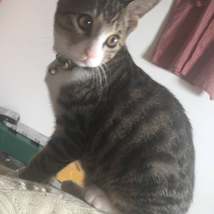 Fc137035 0459 401b 8ac0 3277a9c494a9 1661327444920