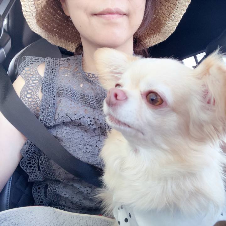 Fc138b1b 4935 4bc7 b448 02cf0a0981f0 1752993030462