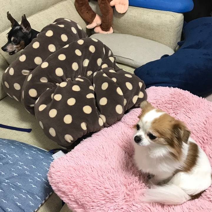 Fc13afa6 d85e 45a6 ba31 b82107da596d 1516744702280