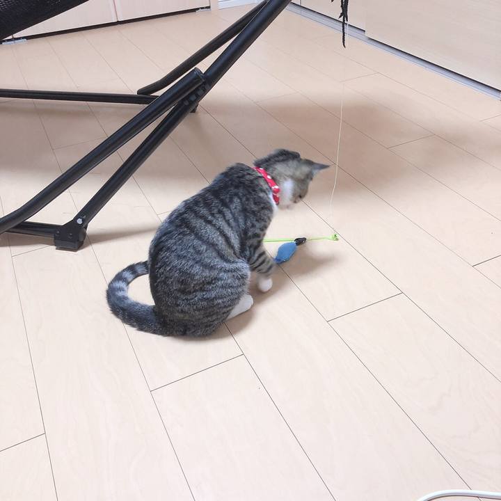 Fc13d1ef 11d9 4730 a16a bf43e23d973d 1571321049805