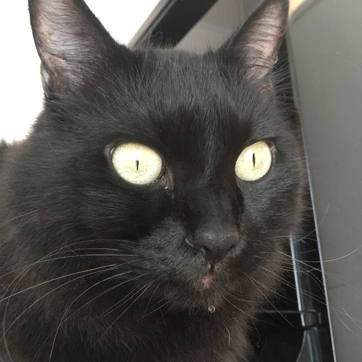 Fc13da9a 762d 44dd a199 70add55f812d 1569636641378