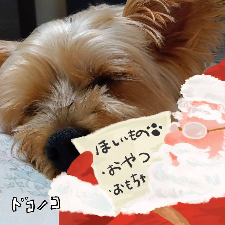 Fc14d1ae 7efc 4e7d 96ae d56fa0bdd69d 1729763391015