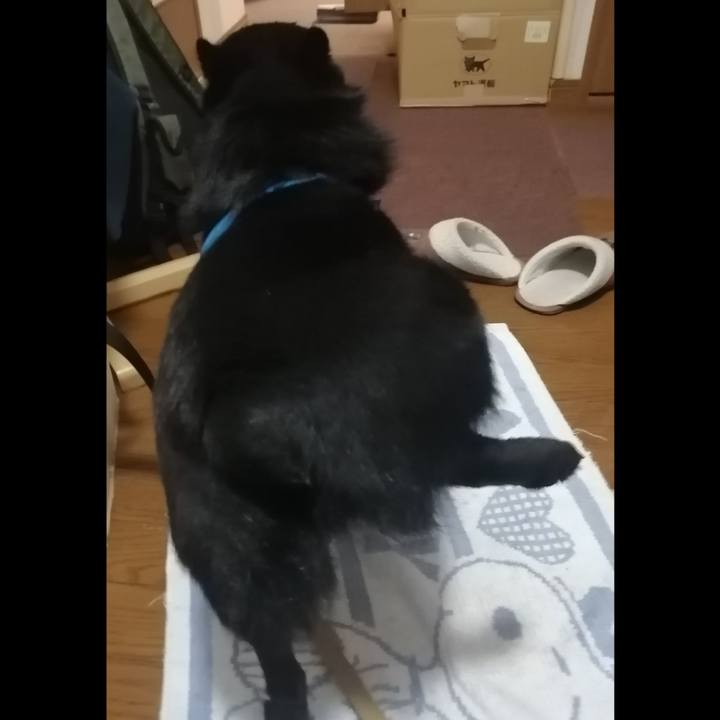 Fc14fa3e 0844 419b 95f2 af59629c0b5a 1618734537771