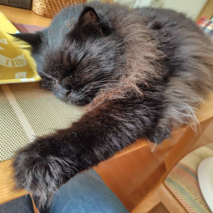 Fc150746 e123 4673 ab3c 3cd01f90371b 1727925181321