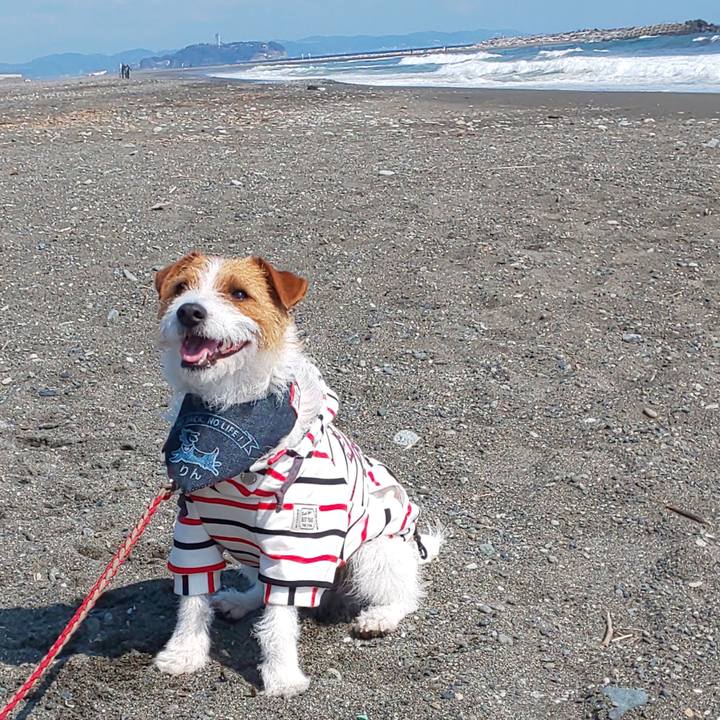 Fc151cb1 e3ff 4a8c 9127 f3824c4353a5 1555305881213