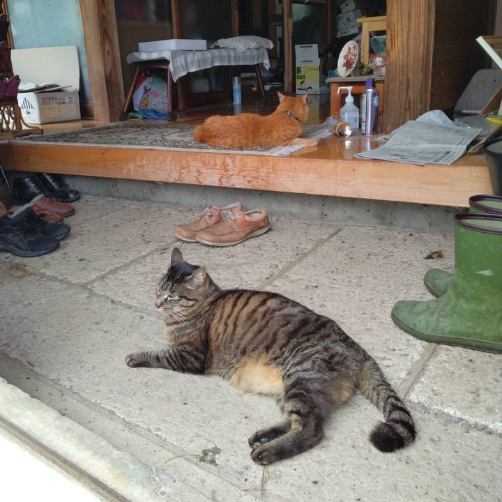 Fc1599d0 5730 439b b37d e3c4f0fd58c1 1717988842535