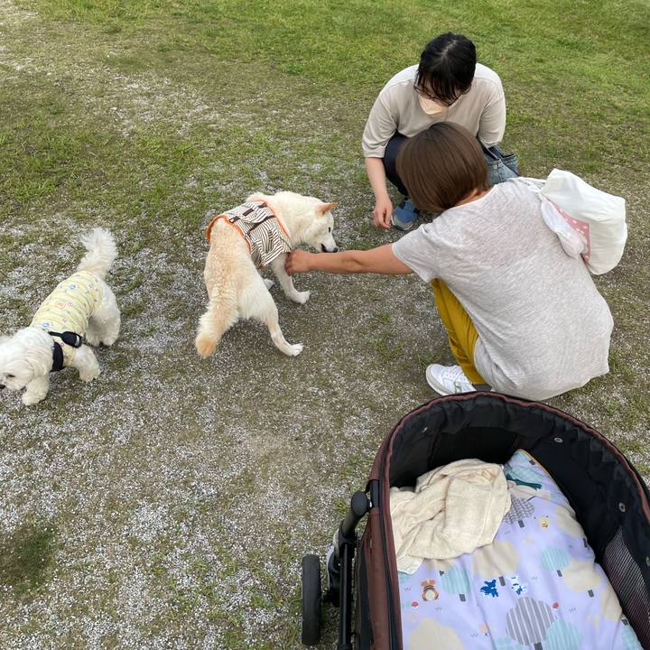 Fc15aabb 15a2 45d4 8100 e33e25cae67b 1655466503646