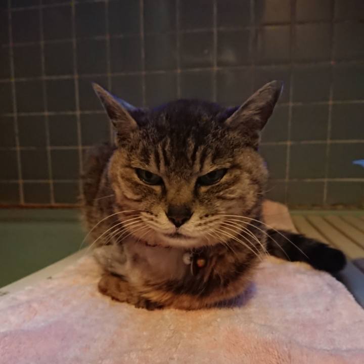 Fc15b46f 3e15 4232 81aa bc74a54d9298 1591611195175