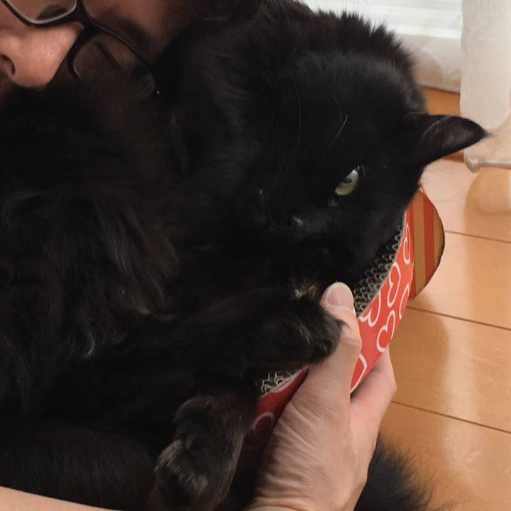 Fc15b9db 64d2 4d8a 90a7 a514611e0b8e 1525402652036